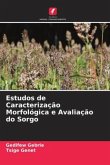 Estudos de Caracterização Morfológica e Avaliação do Sorgo