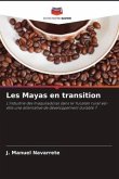 Les Mayas en transition