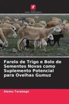 Farelo de Trigo e Bolo de Sementes Novas como Suplemento Potencial para Ovelhas Gumuz - Tarekegn, Alemu