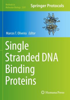 Single Stranded DNA Binding Proteins