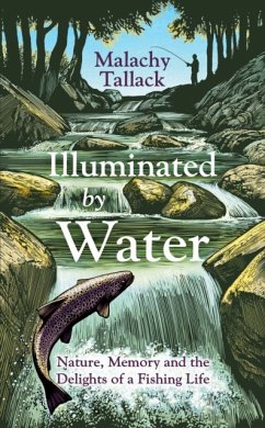 Illuminated By Water - Tallack, Malachy