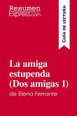 La amiga estupenda (Dos amigas 1) de Elena Ferrante (Guía de lectura)