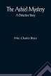 The Ashiel mystery - Bild 1