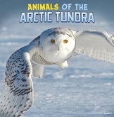 Animals of the Arctic Tundra Animals of the Arctic Tundra