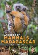 Handbook of Mammals of Madagascar - Bild 1