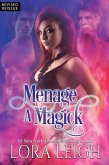 Menage A Magick (Wizard Twins) (eBook, ePUB)