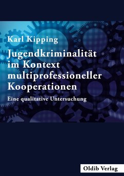Jugendkriminalität im Kontext multiprofessioneller Kooperationen - Kipping, Karl