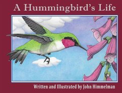 A Hummingbird's Life - Himmelman, John