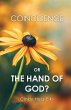 Coincidence or the Hand of God? - Bild 1
