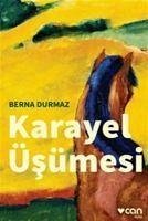 Karayel Üsmesi - Durmaz, Berna