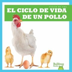 El Ciclo de Vida de Un Pollo (a Chicken's Life Cycle) - Rice, Jamie