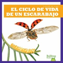 El Ciclo de Vida de Un Escarabajo (a Beetle's Life Cycle) - Rice, Jamie