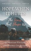 Hope When it Hurts: The Scars that Shape Us: A Christian Writers' Collection