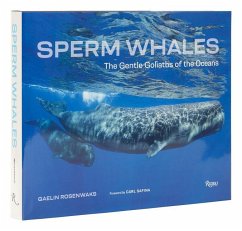 Sperm Whales - Rosenwaks, Gaelin; Safina, Carl