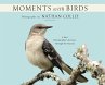 Moments with Birds - Bild 1