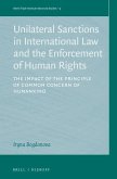 Unilateral Sanctions in International Law and the Enforcement of Human Rights: The Impact of the Principle of Common Concern of Humankind
