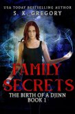 Family Secrets (The Birth of a Djinn, #1) (eBook, ePUB)