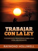 Trabajar con la Ley (Traducido) (eBook, ePUB)