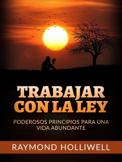 Trabajar con la Ley (Traducido) (eBook, ePUB) - Holliwell, Raymond