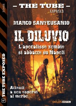 Il diluvio (eBook, ePUB) - Santeusanio, Marco