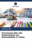 Forschung über die Entwicklung von Kleinstädten in China