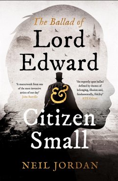 The Ballad of Lord Edward and Citizen Small (eBook, ePUB) - Jordan, Neil