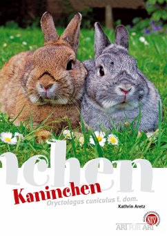 Kaninchen (eBook, ePUB) - Aretz, Kathrin