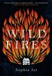 Wild Fires (eBook, ePUB) - Bild 1