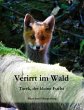 Verirrt im Wald - Bild 1