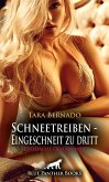 Schneetreiben - Eingeschneit zu dritt   Erotische Geschichte (eBook, ePUB)