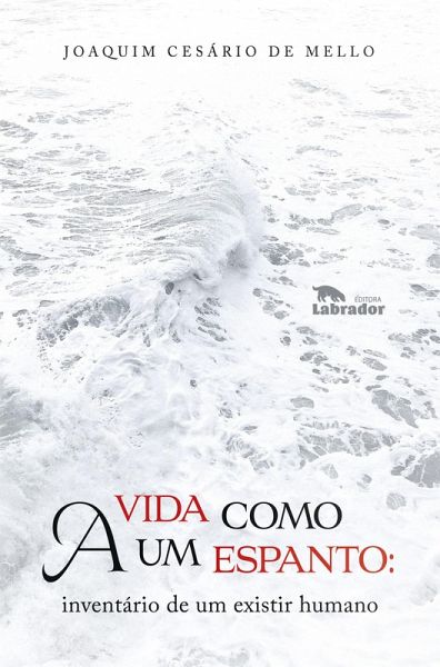 A vida como um espanto: (eBook, ePUB)
