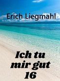 Ich tu mir gut 16 (eBook, ePUB)