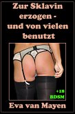 Zur Sklavin erzogen - und von vielen benutzt (eBook, ePUB)