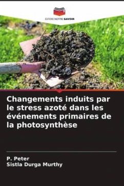 Changements induits par le stress azoté dans les événements primaires de la photosynthèse - Peter, P.;Murthy, Sistla Durga