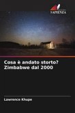 Cosa è andato storto? Zimbabwe dal 2000