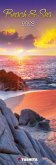 Beach & Sea 2023