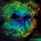 Where Stars are Born 2023