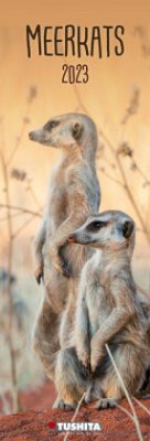 Cover Meerkats 2023