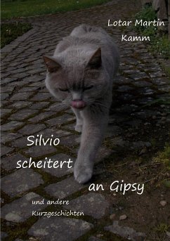 Silvio scheitert an Gipsy (eBook, ePUB) - Kamm, Lotar Martin