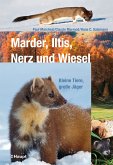 Marder, Iltis, Nerz und Wiesel (eBook, PDF)