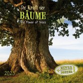 Die Kraft der Bäume 2023 Die Kraft der Bäume 2023