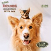 Little Friends/Kleine Freunde 2023 Little Friends/Kleine Freunde 2023