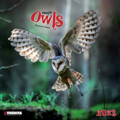 Magic Owls 2023