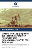 Einsatz von Logging-Tools zur Identifizierung von Reservoir und Kohlenwasserstoff in RCH-Bohrungen