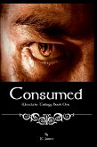 Consumed (eBook, ePUB)