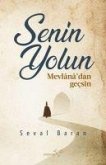 Senin Yolun Mevlanadan Gecsin