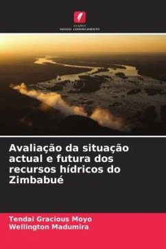 Avaliação da situação actual e futura dos recursos hídricos do Zimbabué - Moyo, Tendai Gracious;Madumira, Wellington