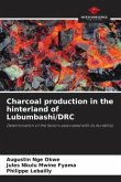 Charcoal production in the hinterland of Lubumbashi/DRC