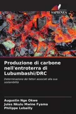 Produzione di carbone nell'entroterra di Lubumbashi/DRC - Nge Okwe, Augustin;Nkulu Mwine Fyama, Jules;Lebailly, Philippe