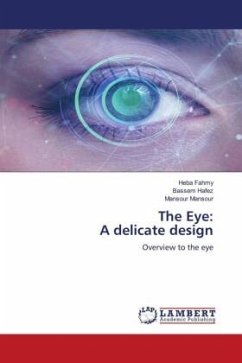 The Eye: A delicate design